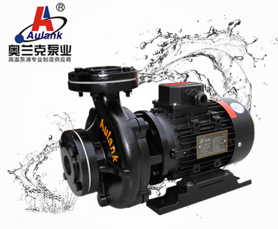 奧蘭克Aulank模溫機(jī)專用熱水泵